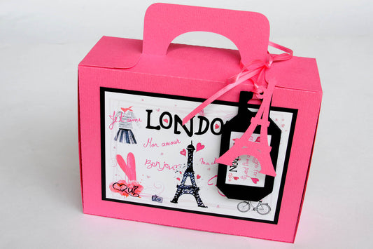 Paris Themed Luggage Box and Business Luggage Box