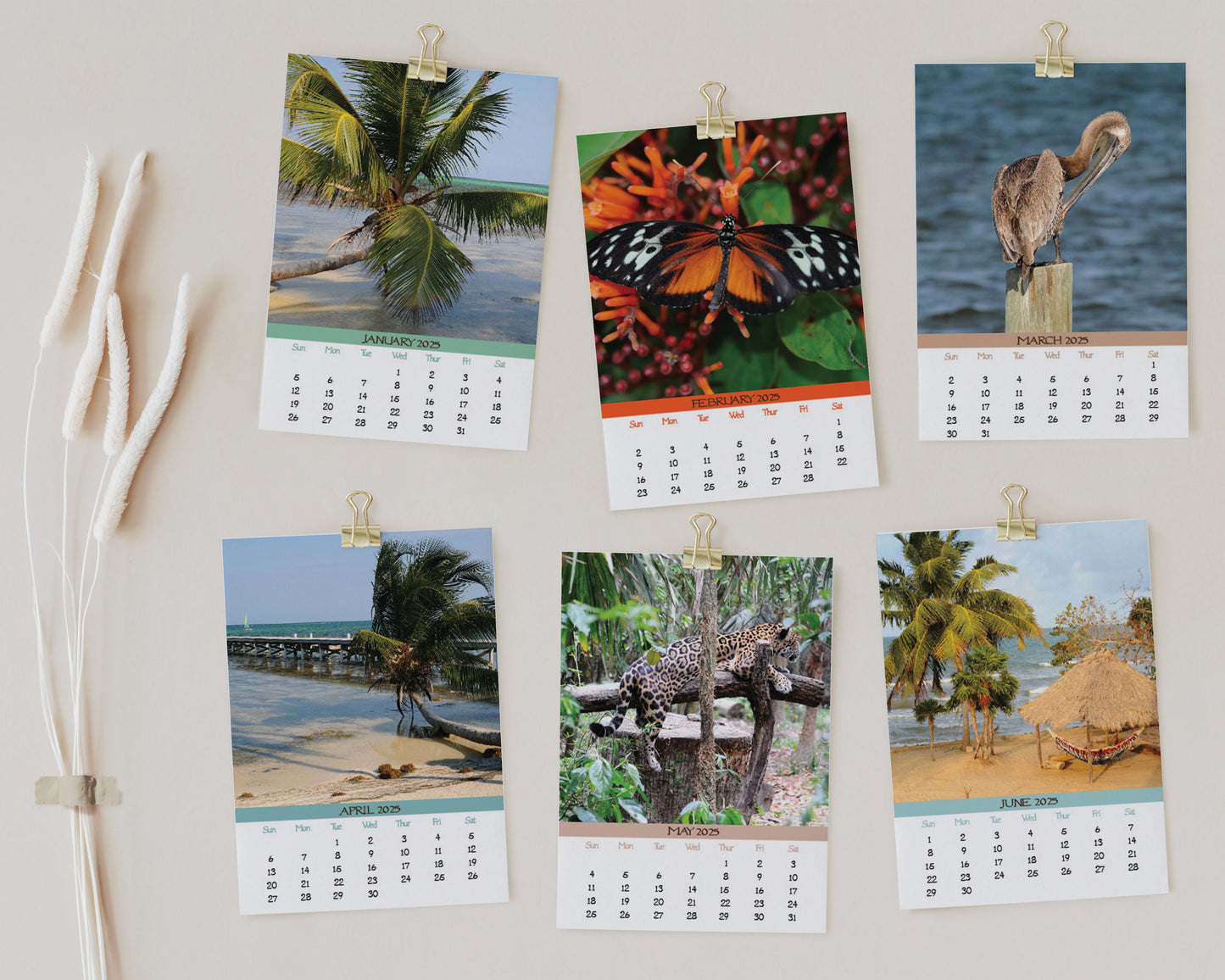 2025 Photo Calendar - Belize