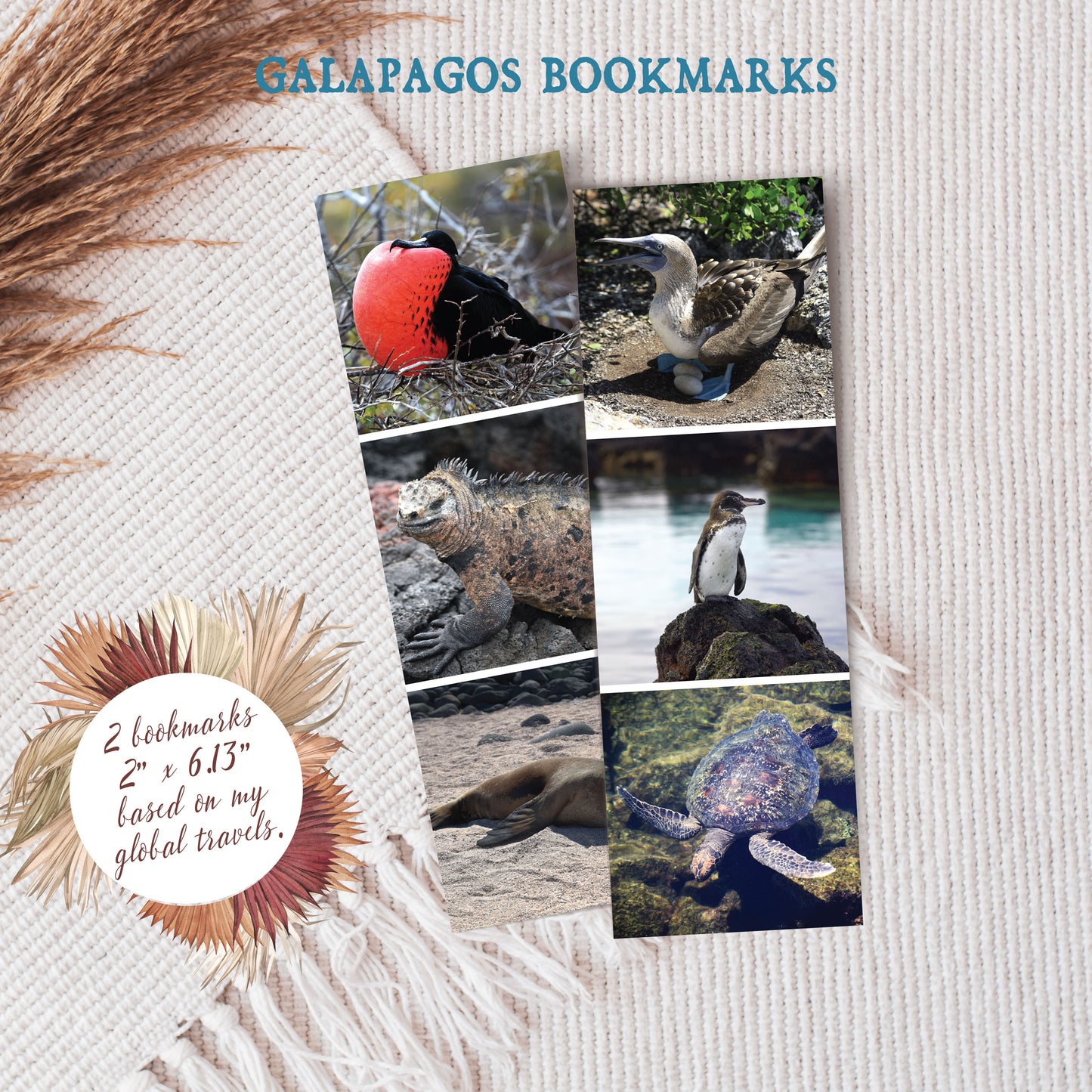 Travel Photo Bookmarks 2x6" - Galapagos, Ecuador