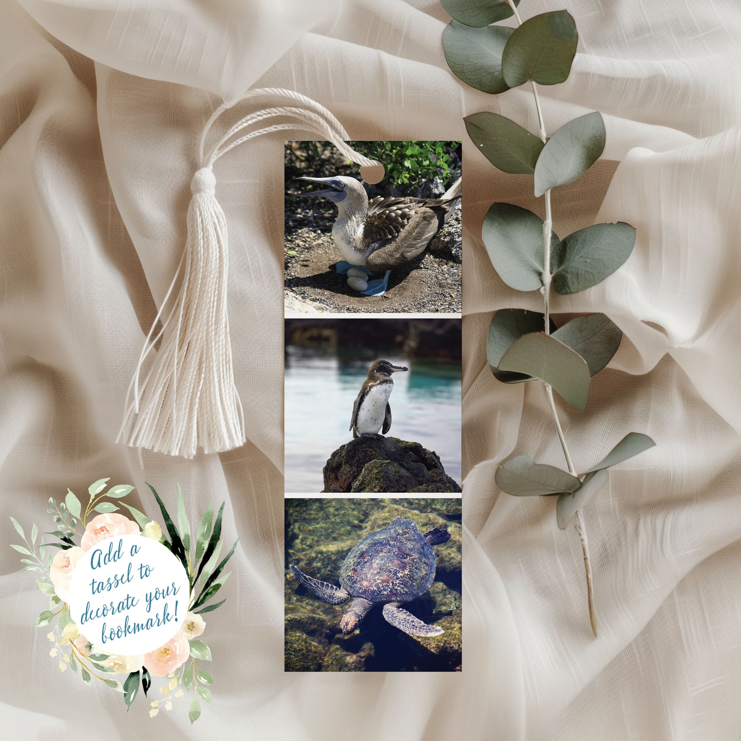 Travel Photo Bookmarks 2x6" - Galapagos, Ecuador