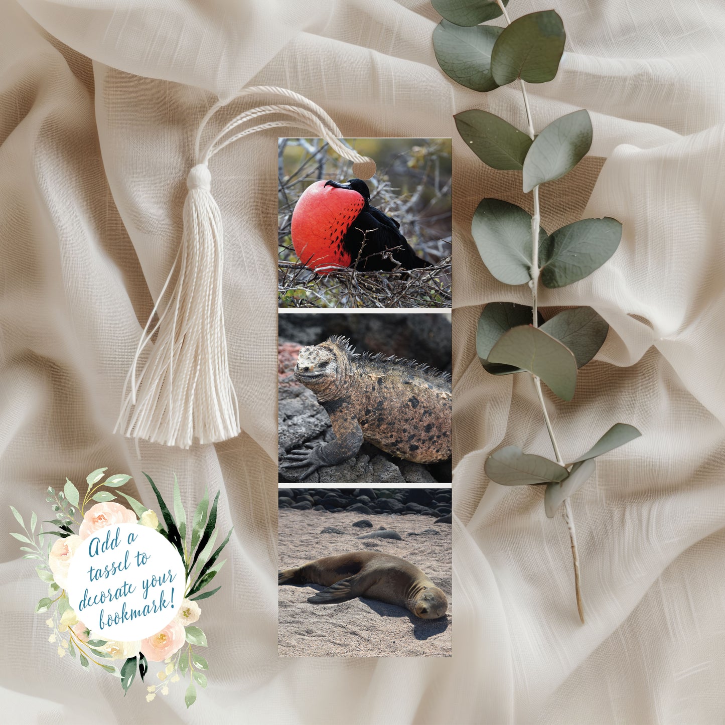 Travel Photo Bookmarks 2x6" - Galapagos, Ecuador
