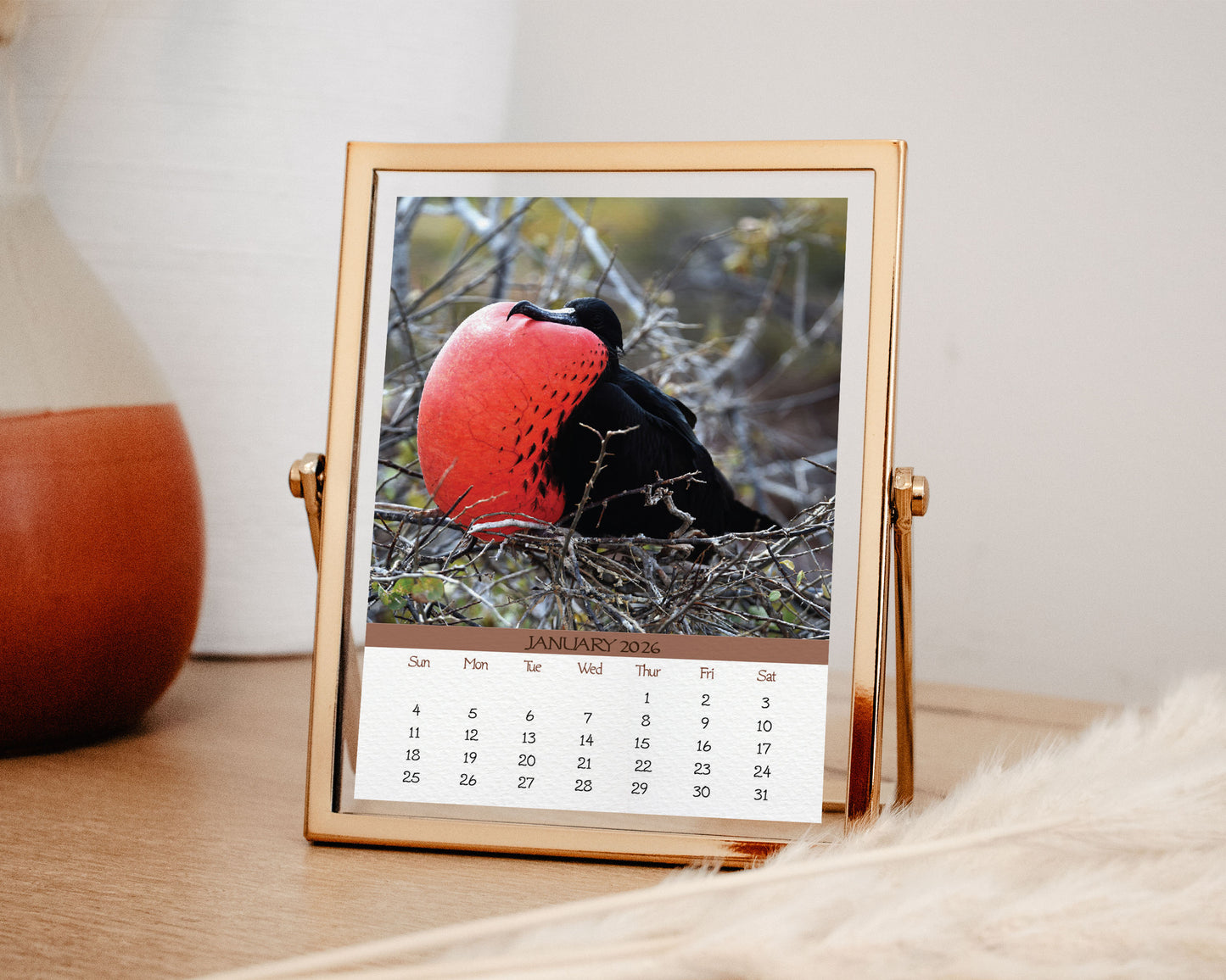 2026 Photo Calendar - Galapagos, Ecuador
