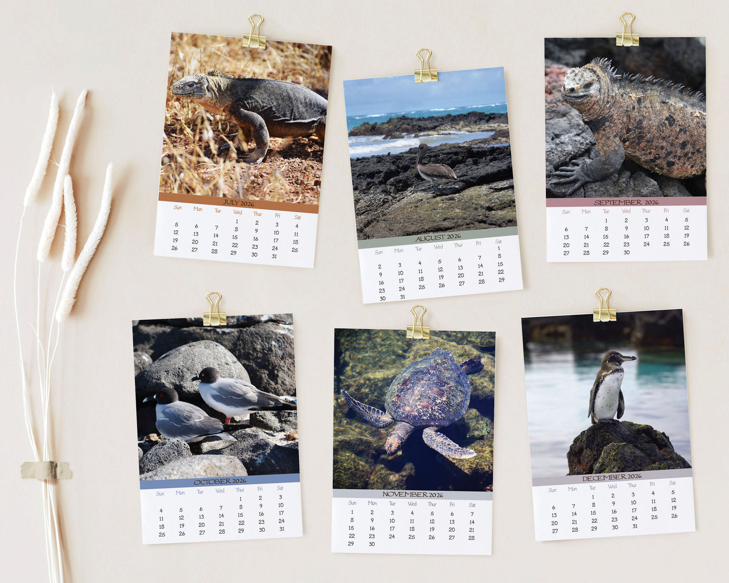 2026 Photo Calendar - Galapagos, Ecuador