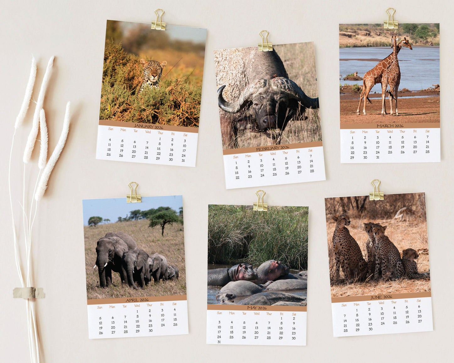 2026 Photo Calendar - Kenya & Tanzania Safari