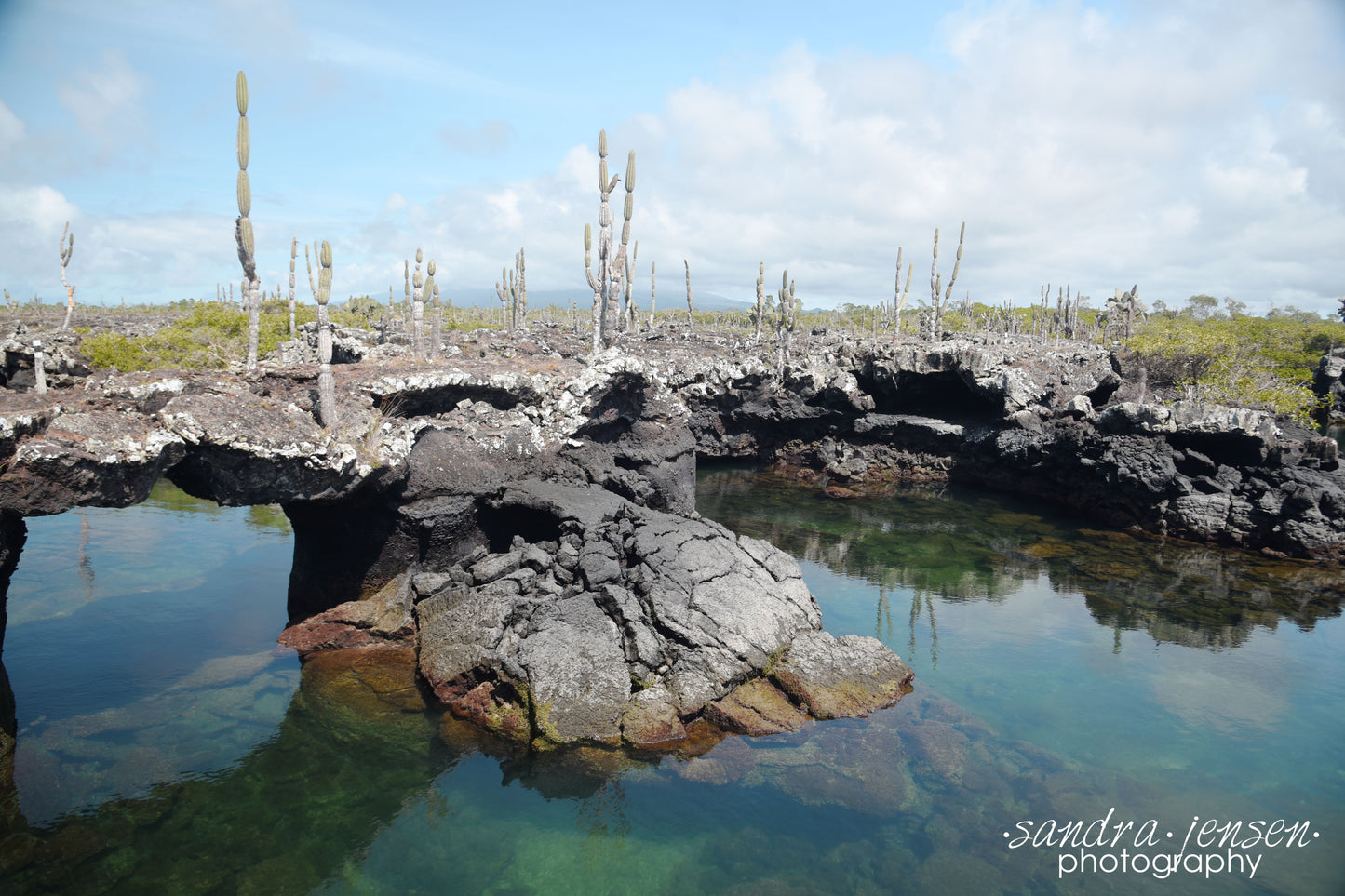Print - Galapagos, Ecuador - Isabela Island