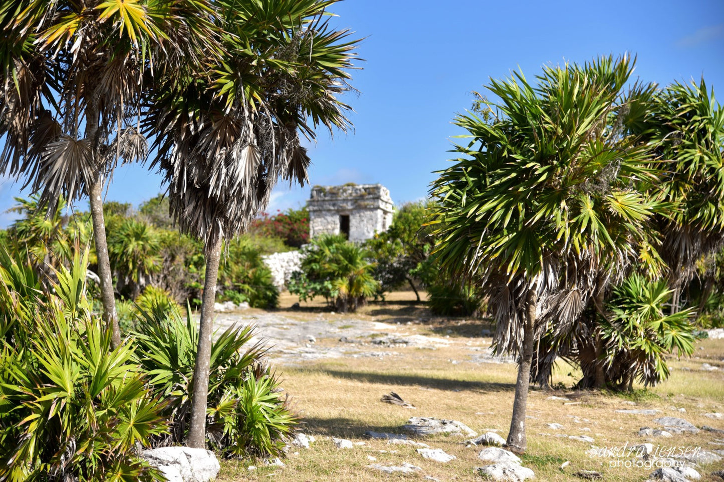 Print - Mayan Riviera, Mexico - Tulum Mayan Ruins