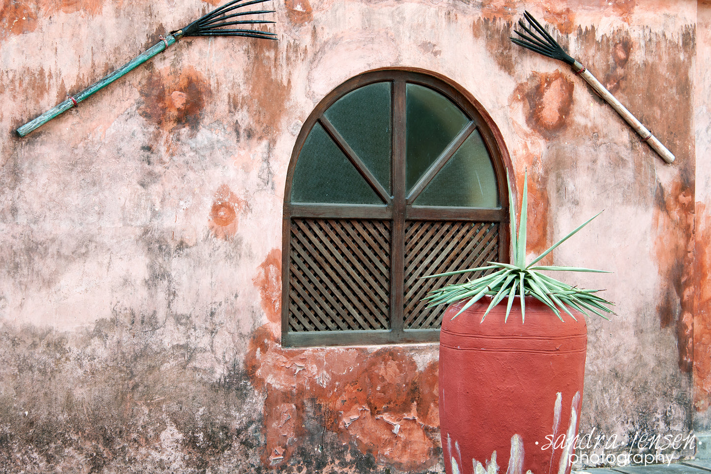 Print - Zanzibar, Tanzania - Changuu Island Window 3