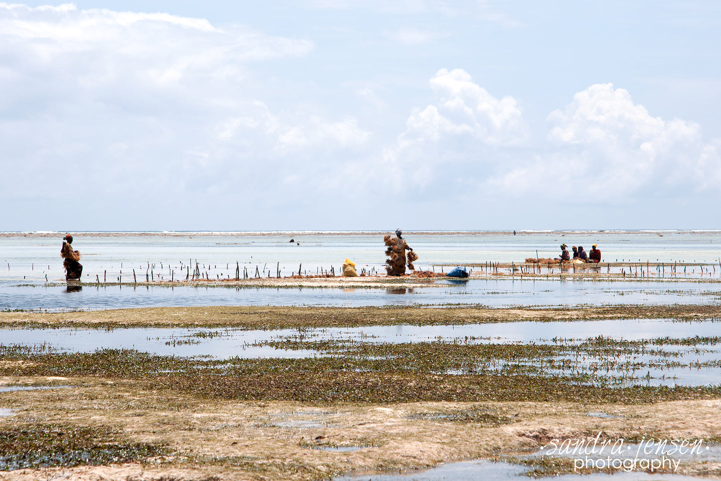 Print - Zanzibar, Tanzania - Women working in Matemwe Beach 2
