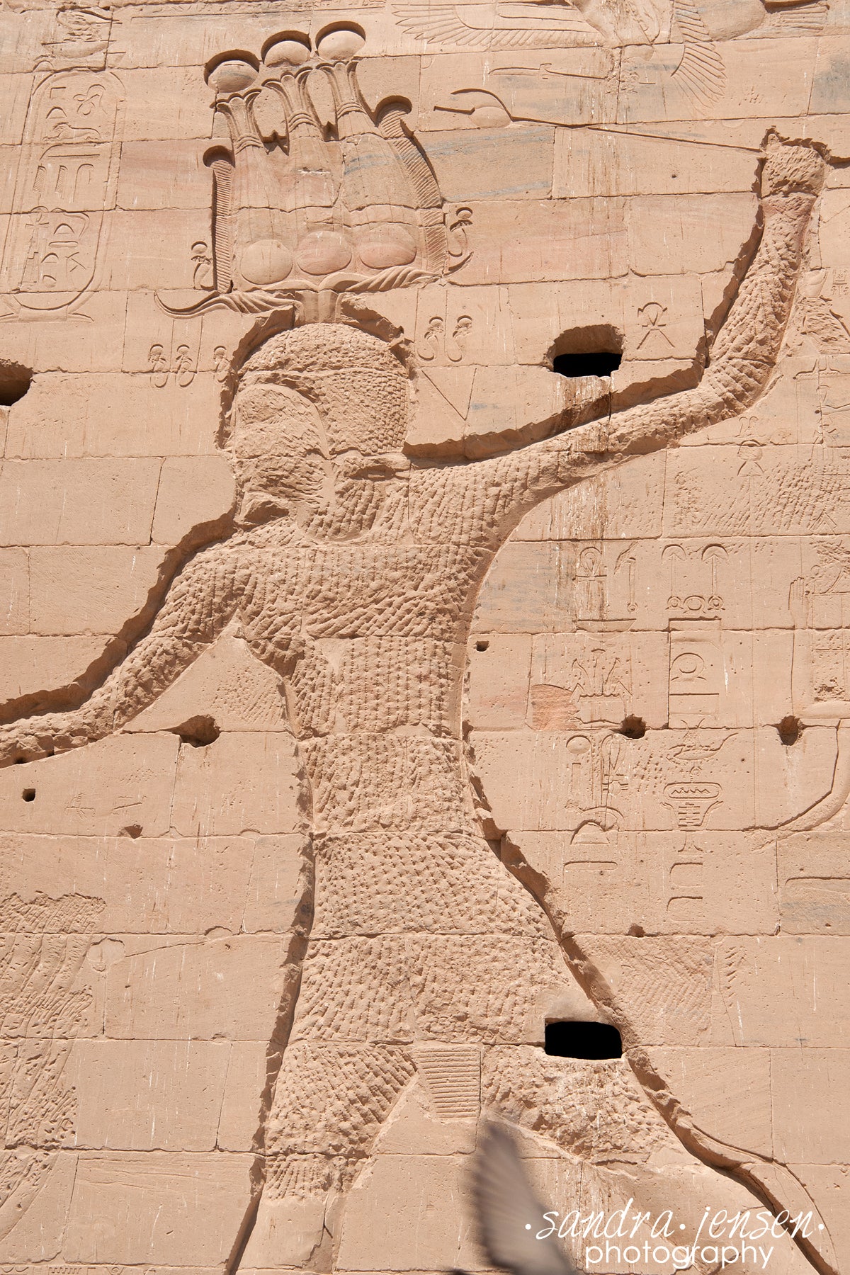 Print - Egypt - Aswan Philae Temple 12