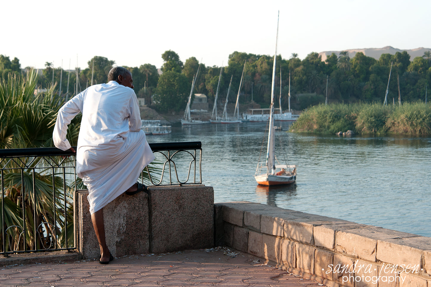 Print - Egypt, Aswan - Man overlooking the Nile