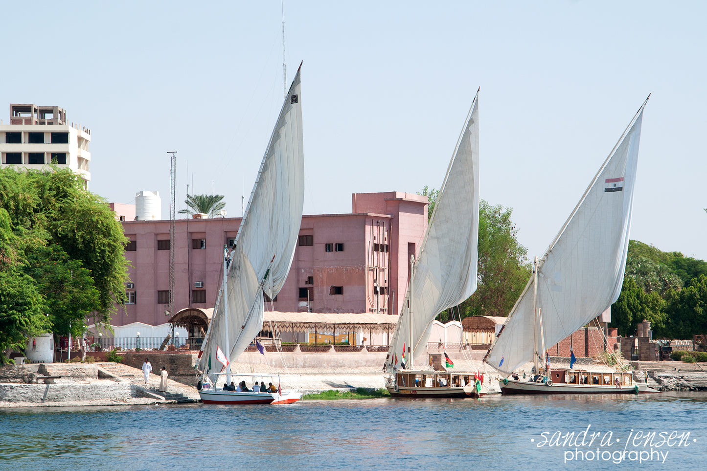 Print - Egypt, Aswan - Feluccas on the Nile