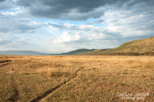 Print - Africa - Lake Nakuru National Park
