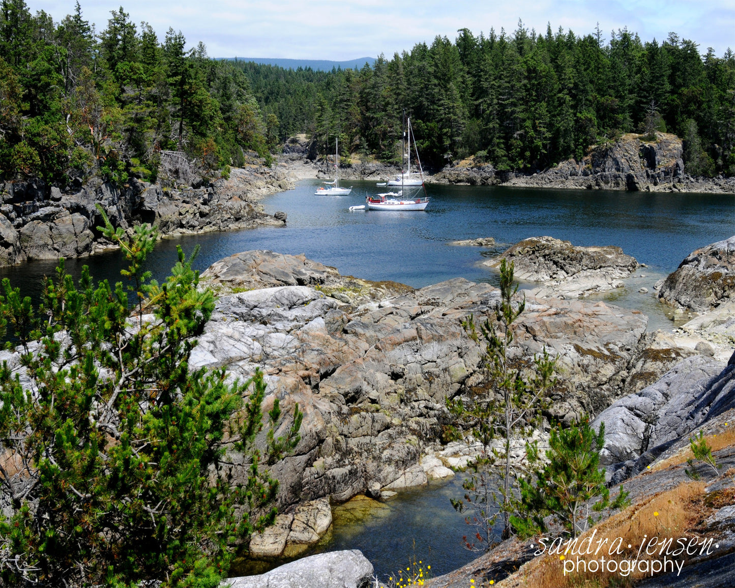Print - Smuggler Cove, Sechelt