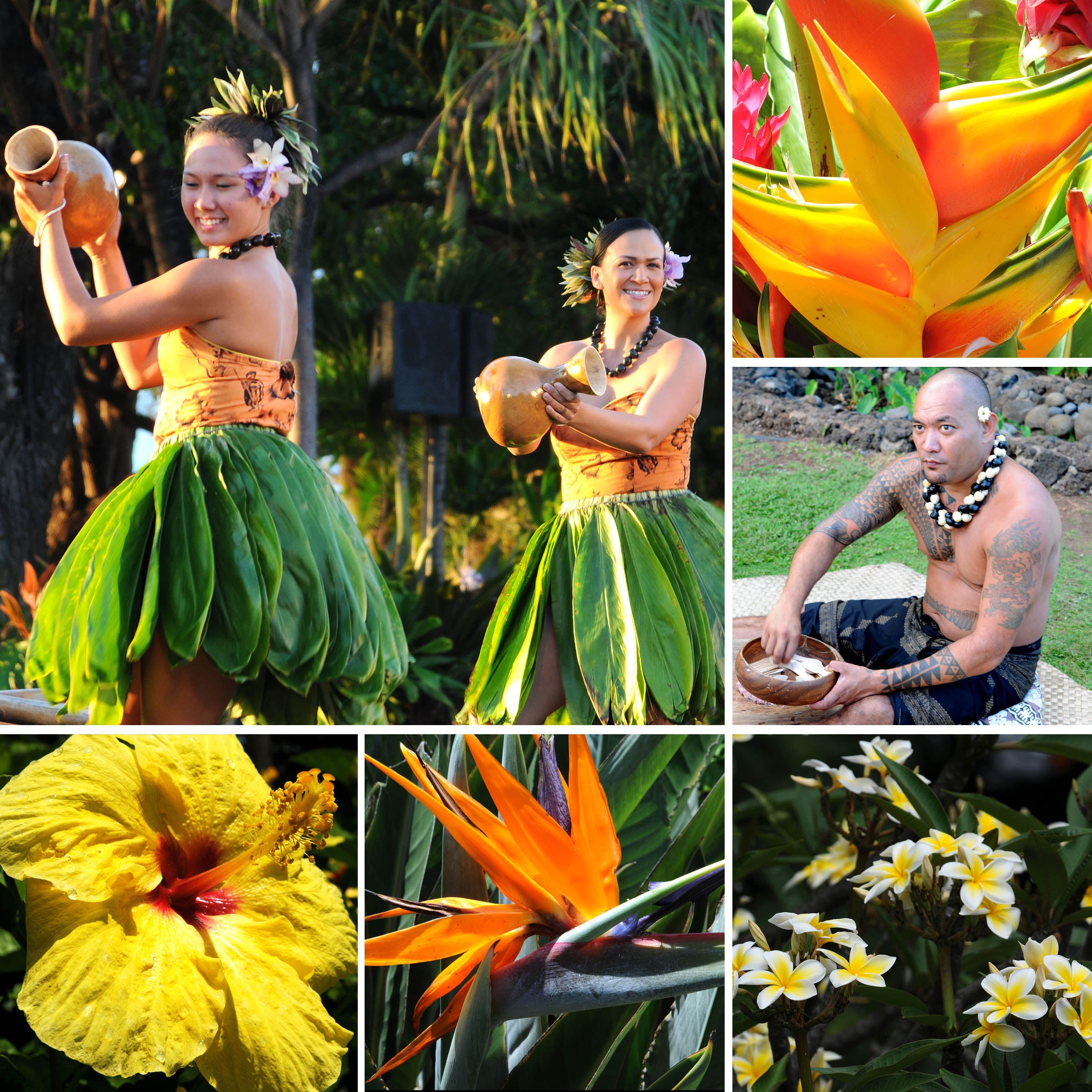 Scenic Photos of Maui