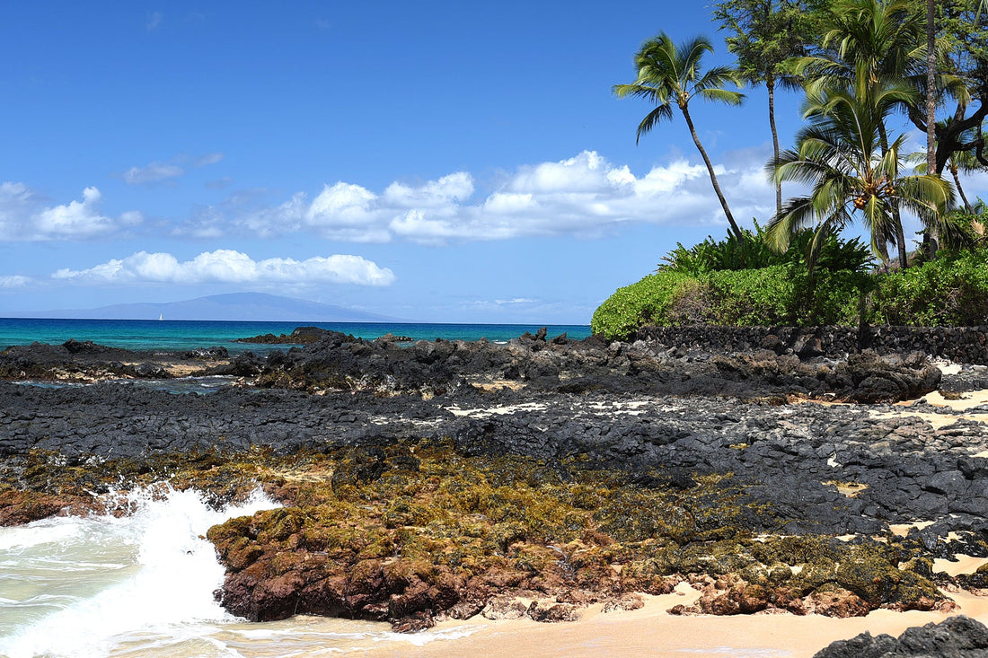 Scenic Photos of Maui