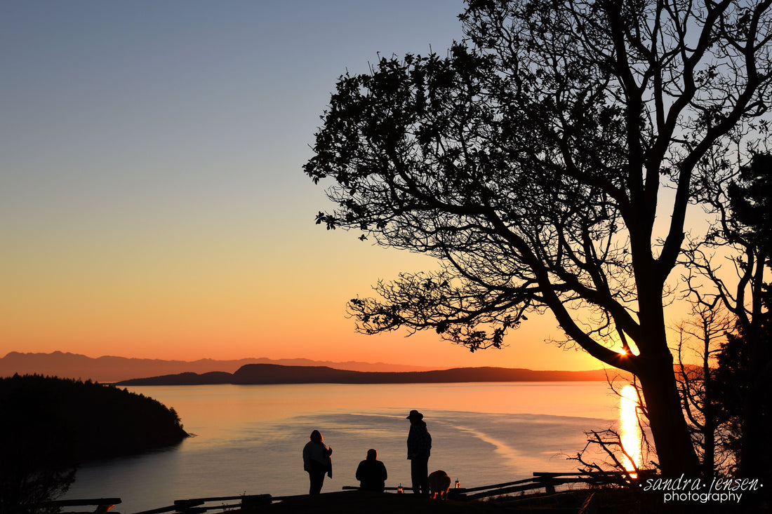 Sunset in Washington Park, Anacortes, WA