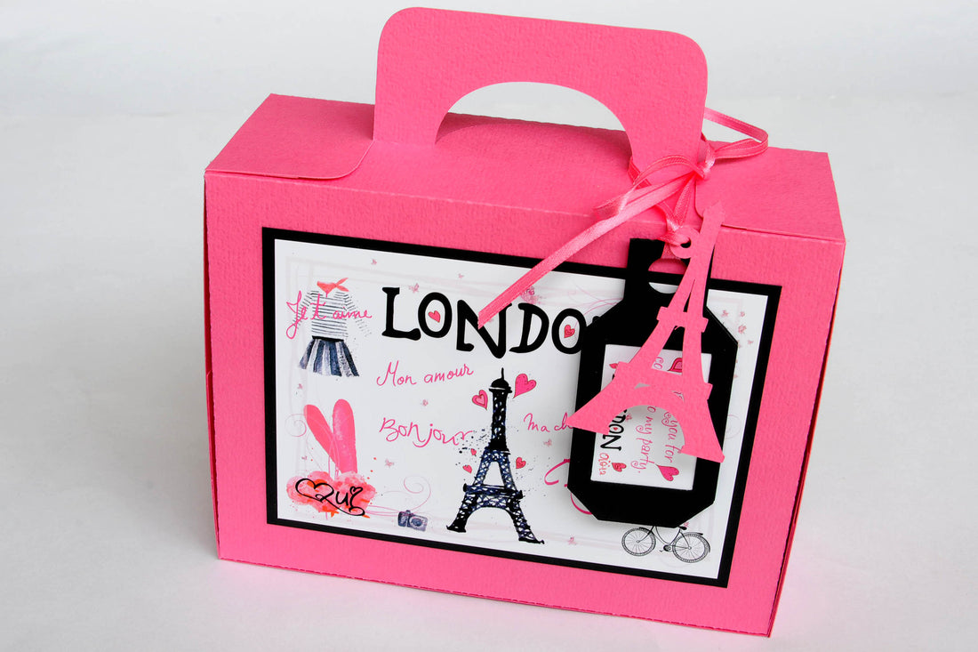 Paris Themed Luggage Box and Business Luggage Box