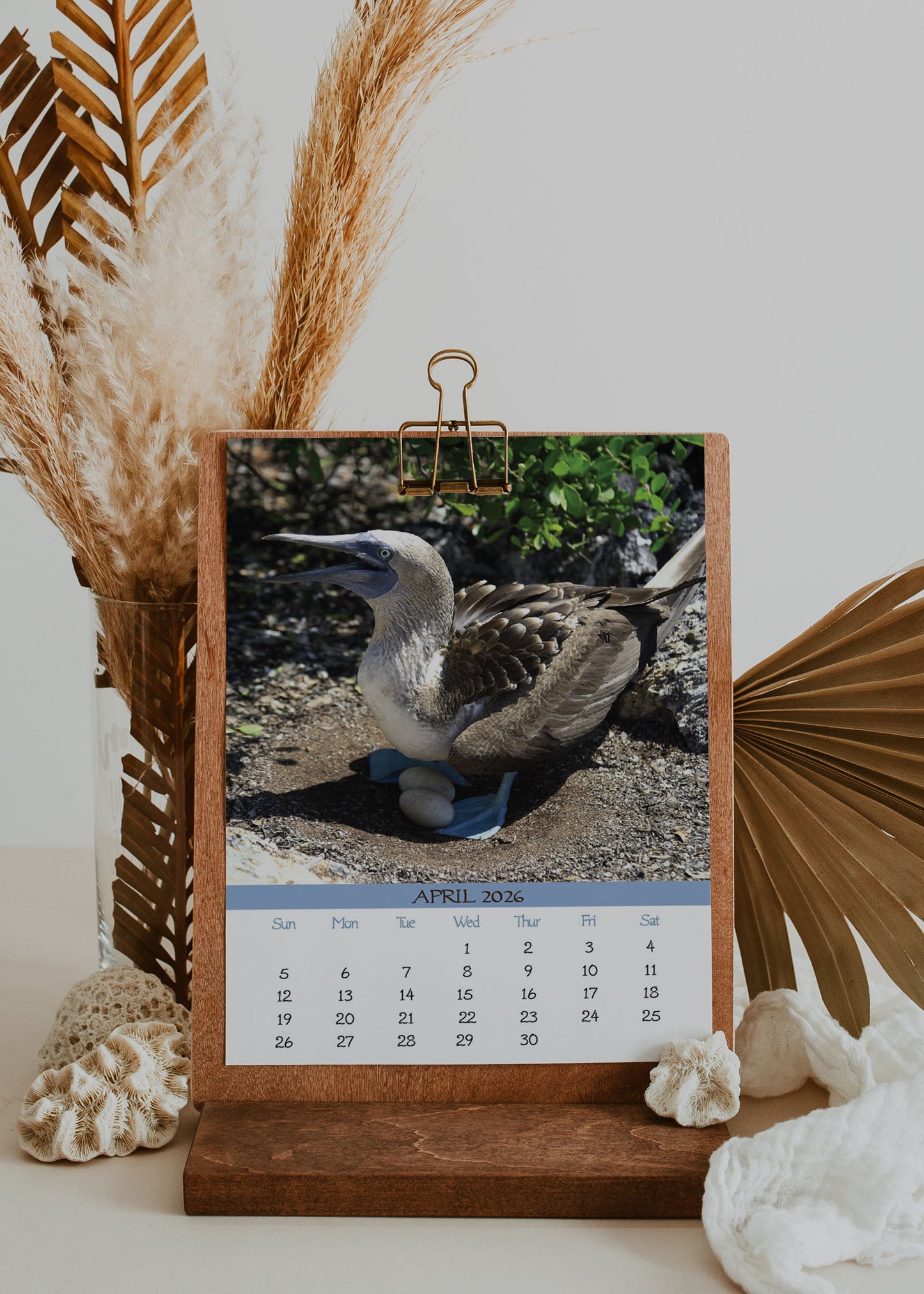 2026 Photo Calendar - Galapagos, Ecuador