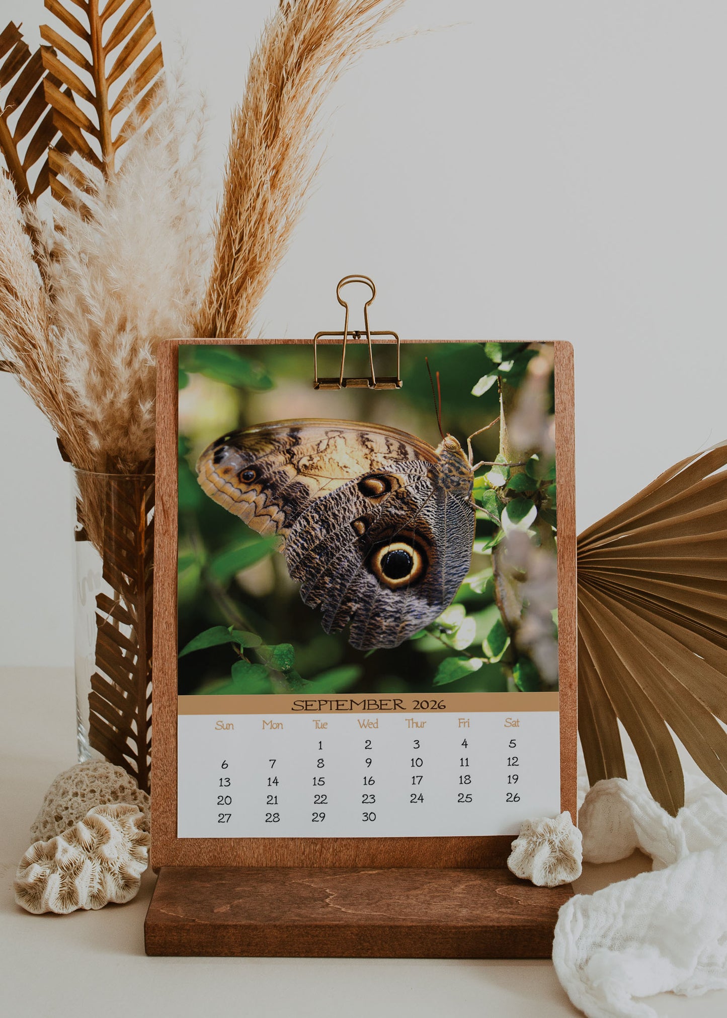 2026 Photo Calendar - Belize