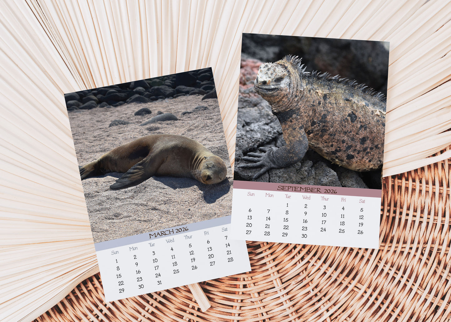 2026 Photo Calendar - Galapagos, Ecuador