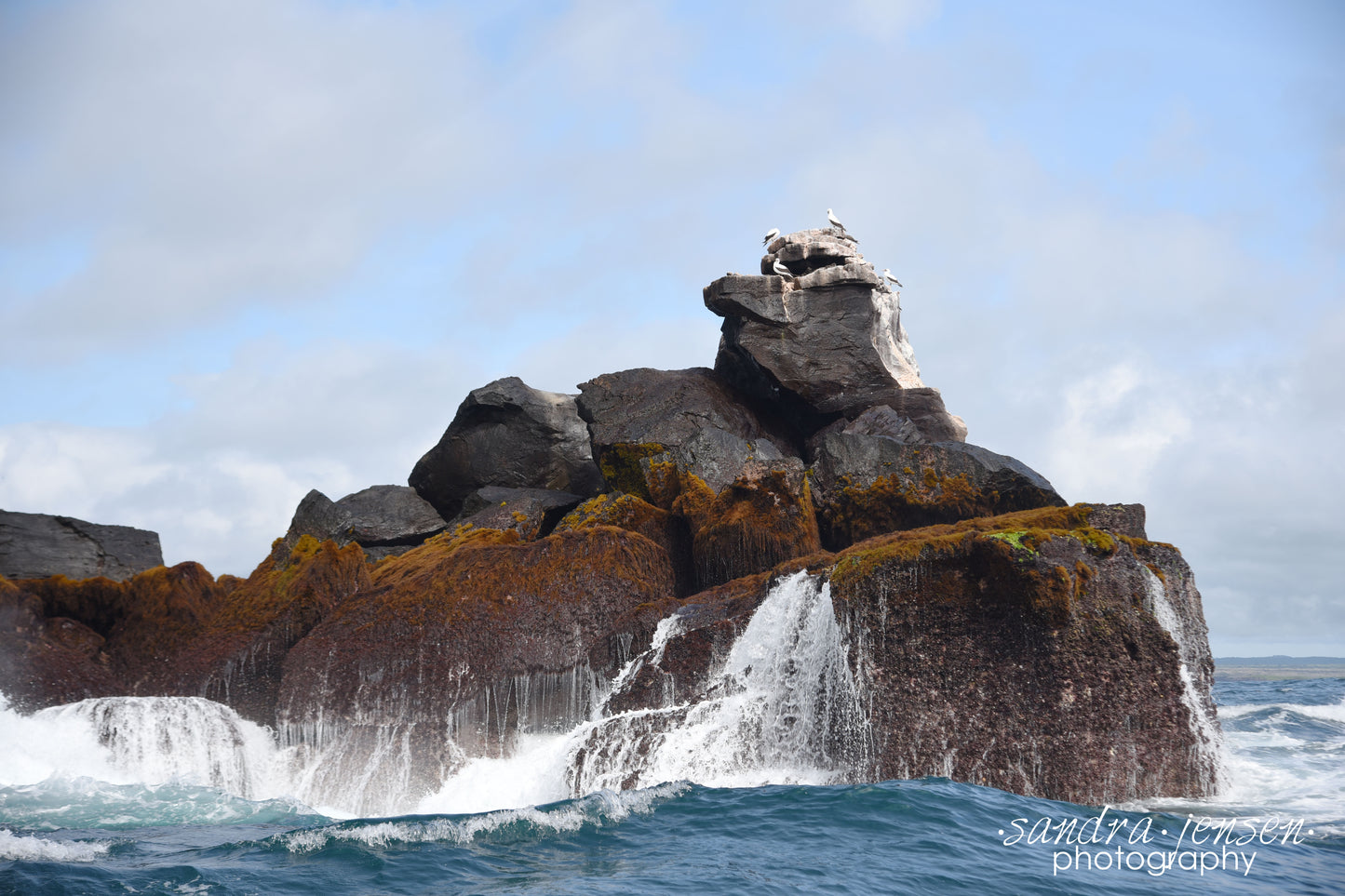 Print - Galapagos, Ecuador - Galapagos