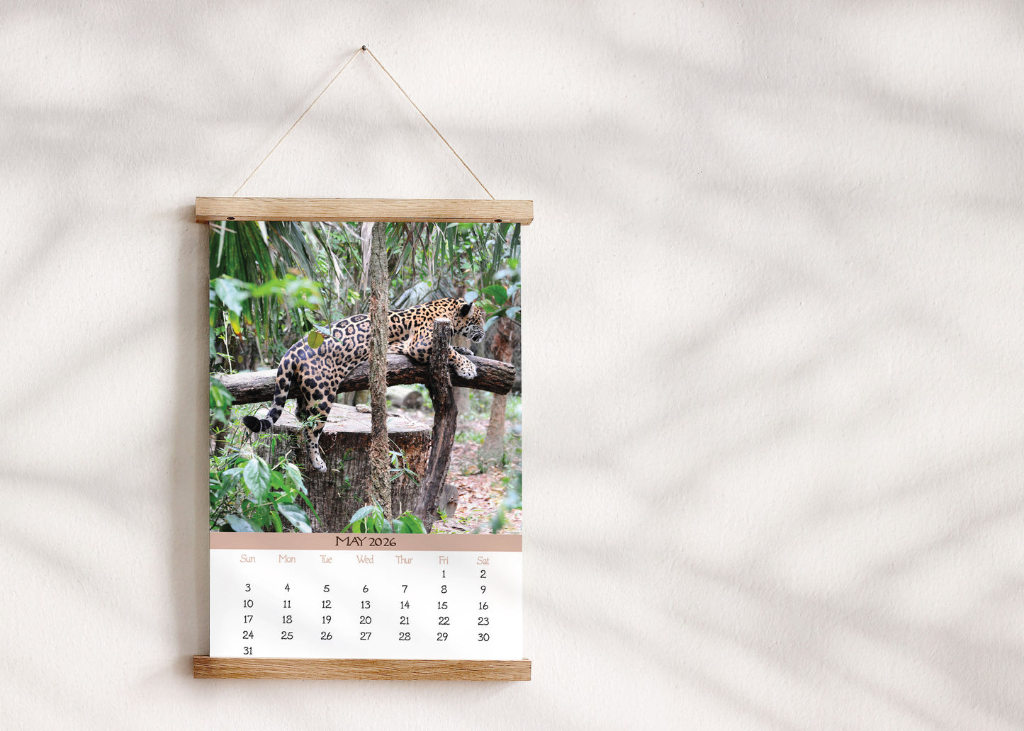 2026 Photo Calendar - Belize