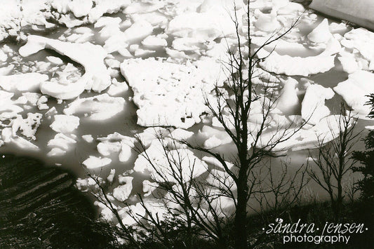 Print - Argentina Patagonia "Glacier Upsala Icefield"