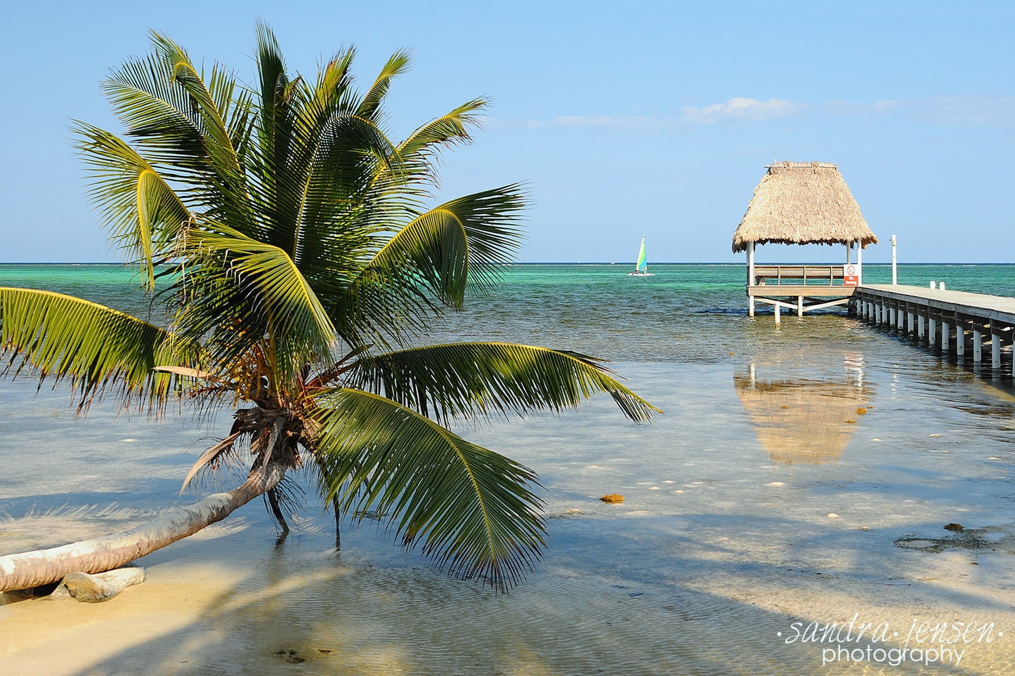 Print - Belize Ambergris Caye Beach
