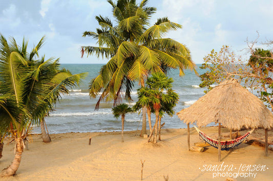 Print - Belize Hopkins Beach