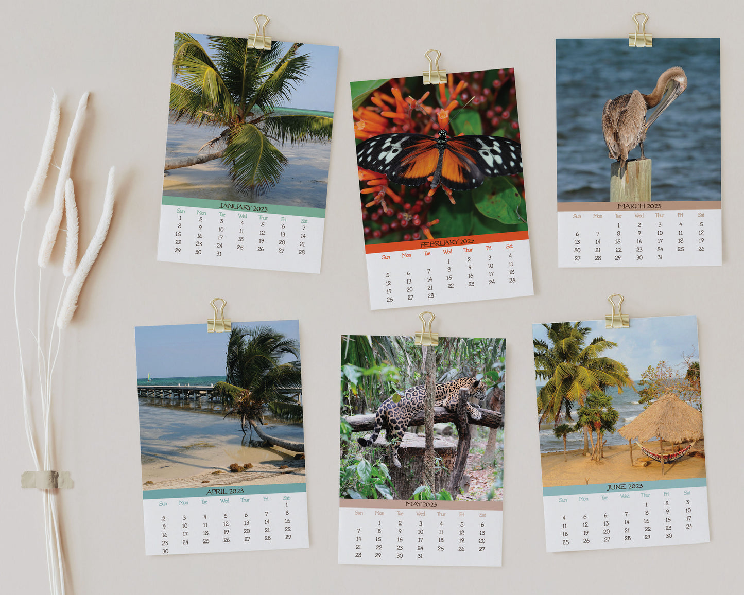 2023 Photo Calendar - Belize