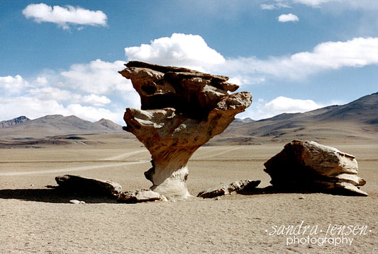 Print - Bolivia "Salar de Uyuni Tree"