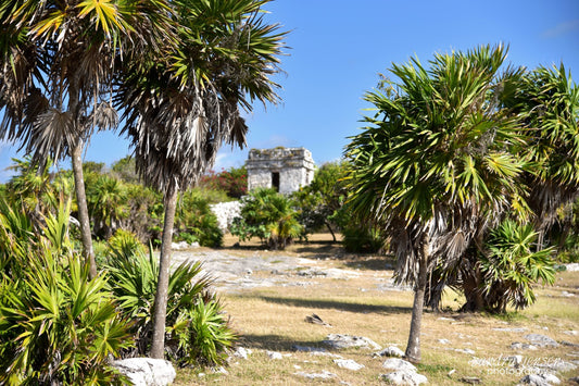 Print - Mayan Riviera, Mexico - Tulum Mayan Ruins