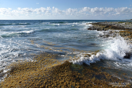 Print - Mayan Riviera, Mexican Coast