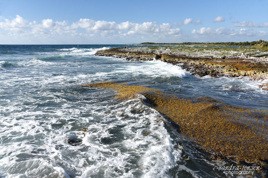 Print - Mayan Riviera, Mexican Coast 2