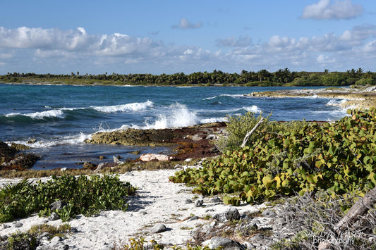 Print - Mayan Riviera, Mexican Coast 5