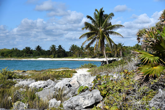 Print - Mayan Riviera, Mexican Coast 8