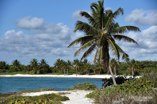 Print - Mayan Riviera, Mexican Coast 9