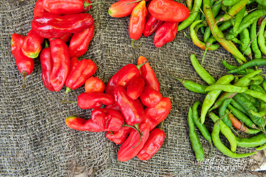 Print - Zanzibar, Tanzania - Peppers in Market Stall in Stonetown