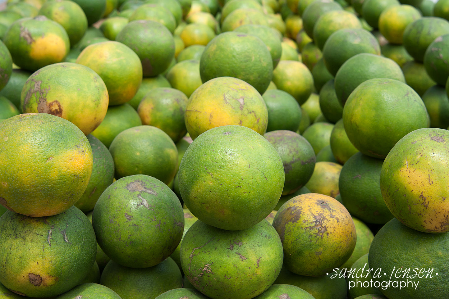 Print - Zanzibar, Tanzania - Oranges 2 in Market Stall in Stonetown