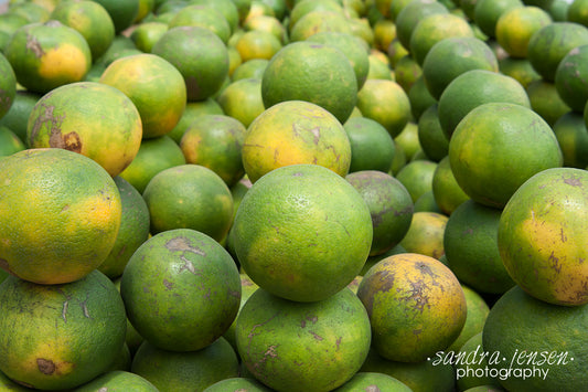 Print - Zanzibar, Tanzania - Oranges 2 in Market Stall in Stonetown