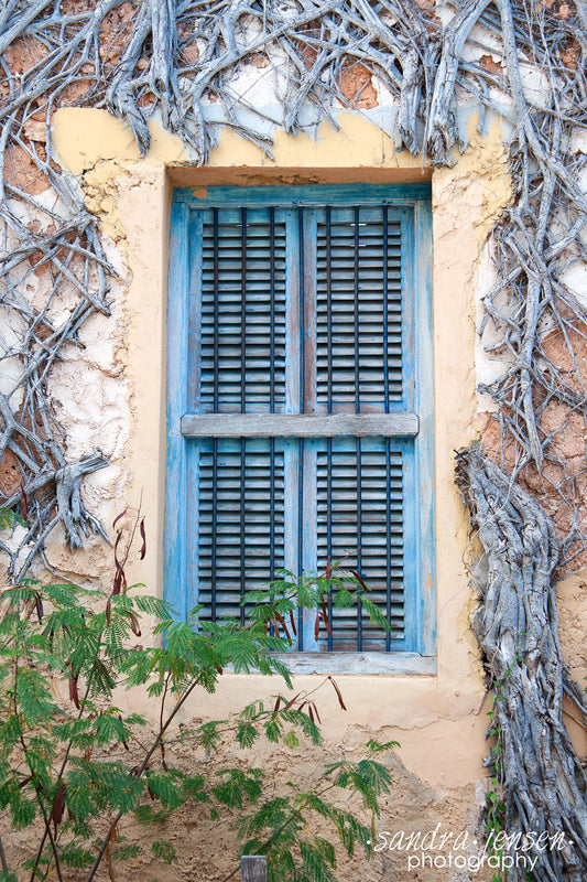 Print - Zanzibar, Tanzania - Changuu Island Blue Window
