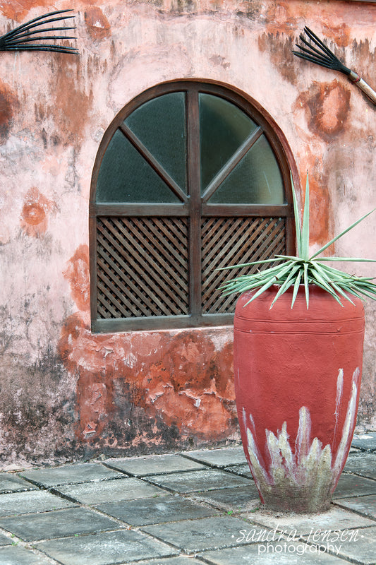 Print - Zanzibar, Tanzania - Changuu Island Window