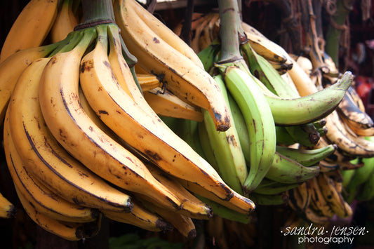 Print - Zanzibar, Tanzania - Bananas in Market Stall in Stonetown