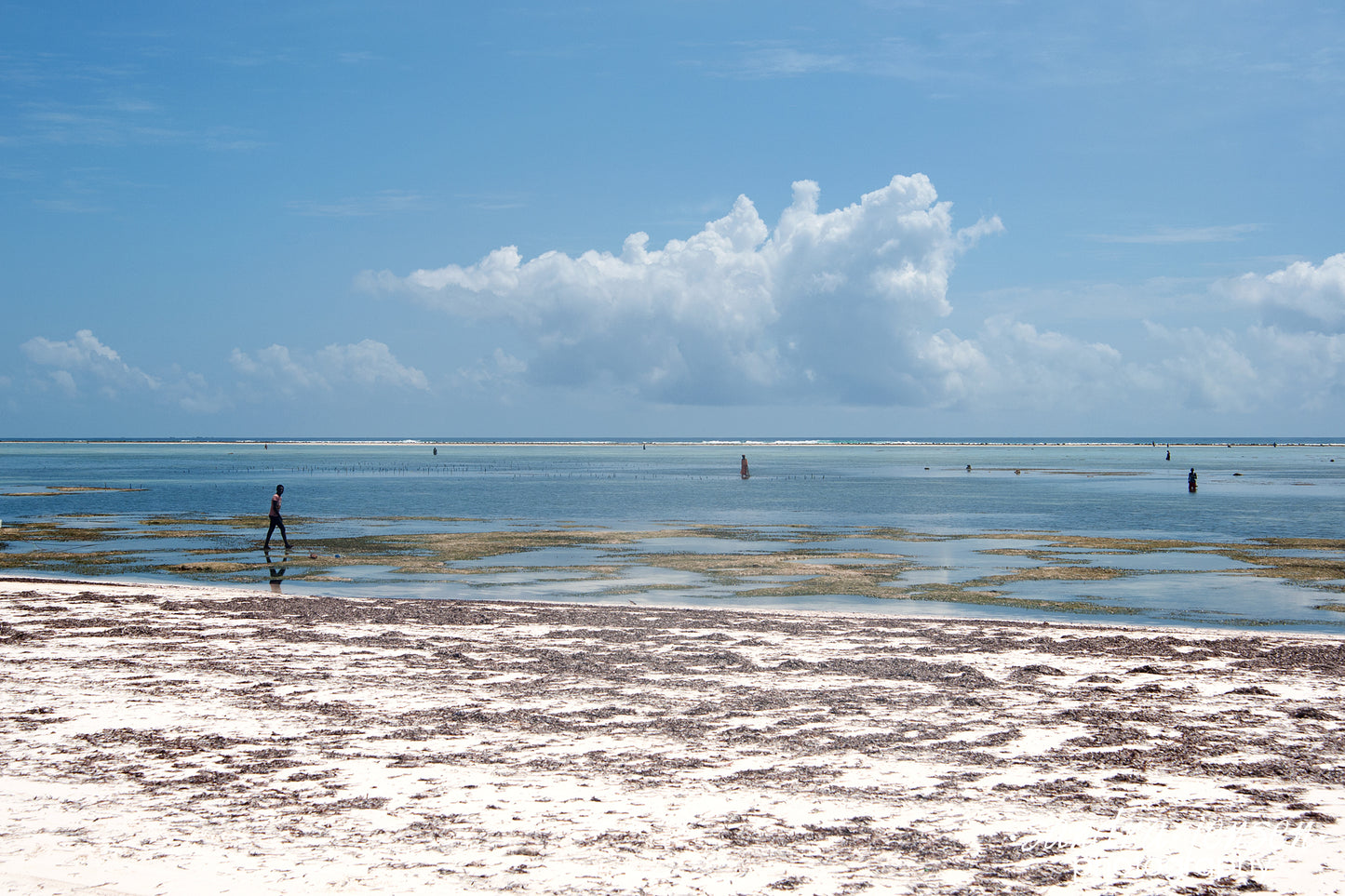 Print - Zanzibar, Tanzania - Matemwe Beach 3