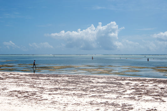Print - Zanzibar, Tanzania - Matemwe Beach 3