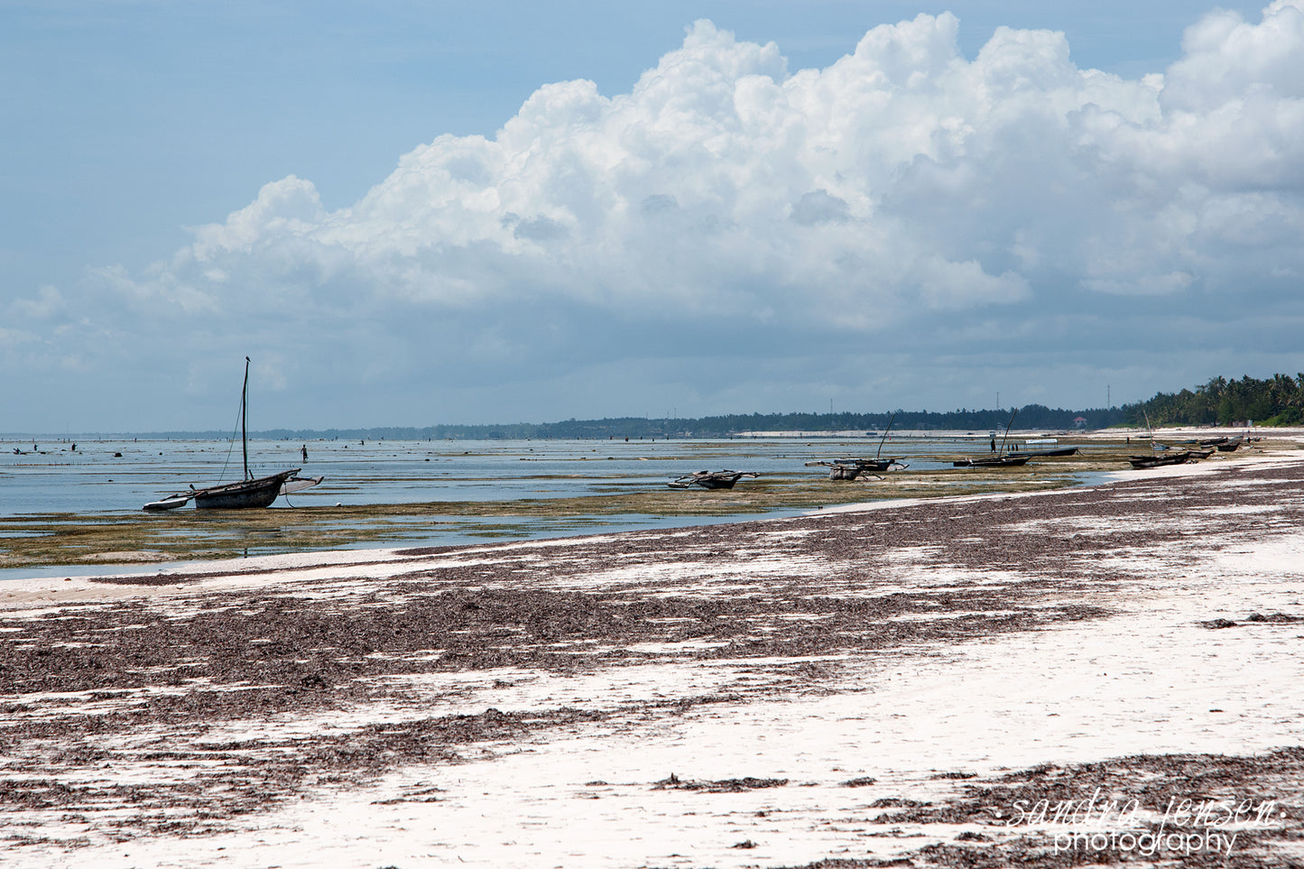 Print - Zanzibar, Tanzania - Matemwe Beach 4