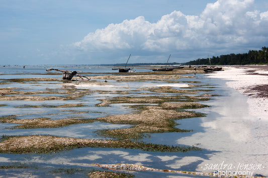 Print - Zanzibar, Tanzania - Matemwe Beach Boats