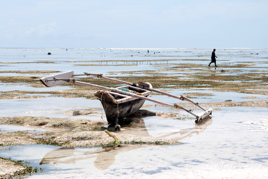 Print - Zanzibar, Tanzania - Matemwe Beach Boat 2