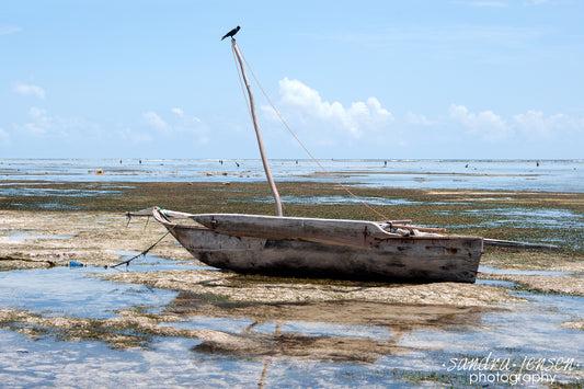 Print - Zanzibar, Tanzania - Matemwe Beach Boat 4