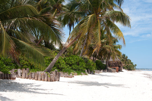 Print - Zanzibar, Tanzania - Matemwe Beach 5